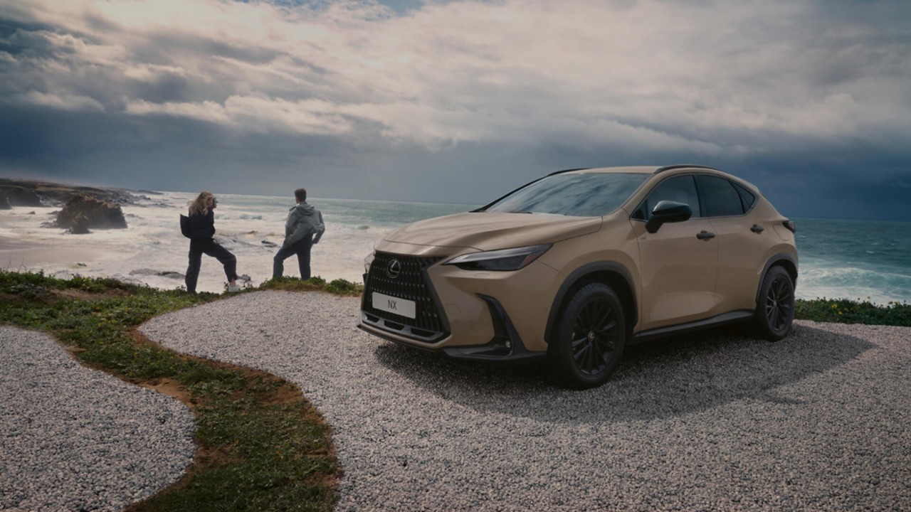 Zwei Personen stehen neben einem geparkten Lexus NX