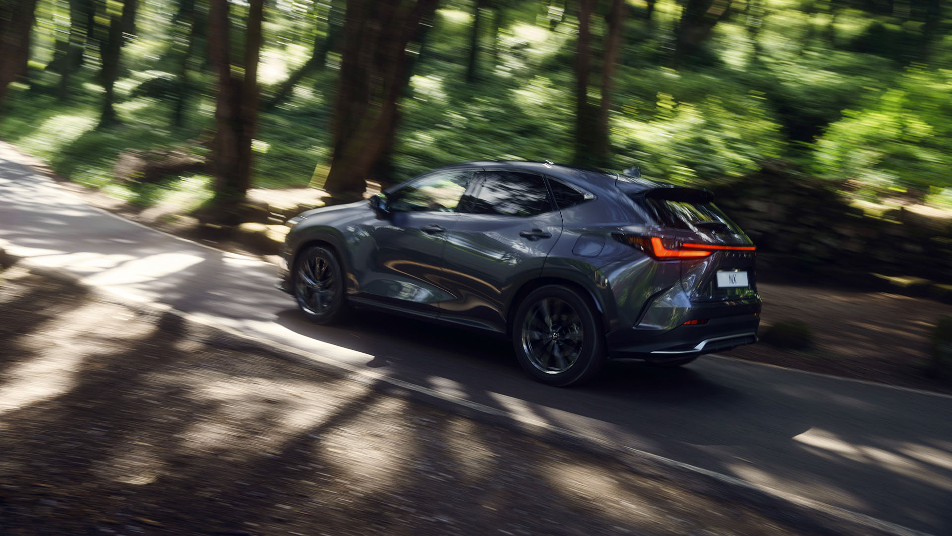 Ein Lexus NX fährt durch einen Wald